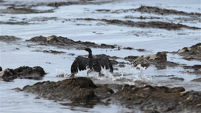 Mnet 169210 Oil Spill9 0