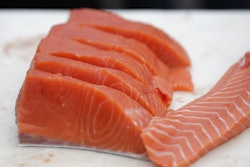 Mnet 51103 Salmon Slice Ap