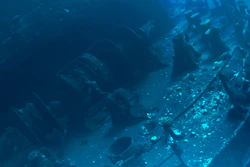 (Image credit: XPrize Ocean Discovery)