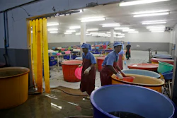 Workers react during a raid on a shrimp shed conducted by Thailand's Department of Special Investigation in Samut Sakhon, Thailand. (AP Photo/Dita Alangkara, File)