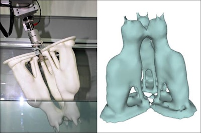 Cats 3d Scan Water