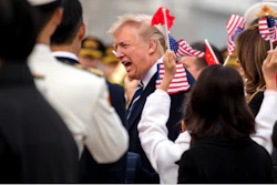 (AP Photo/Andrew Harnik)