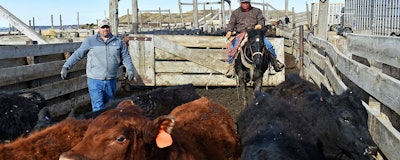 Mnet 110688 Montana Rancher Trump Trade Tariffs Ap