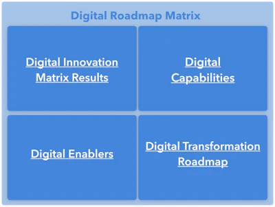Mnet 196598 Digital Roadmap Matrix