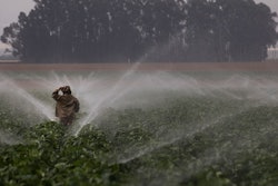 Mnet 207383 Wholesale Prices Ap