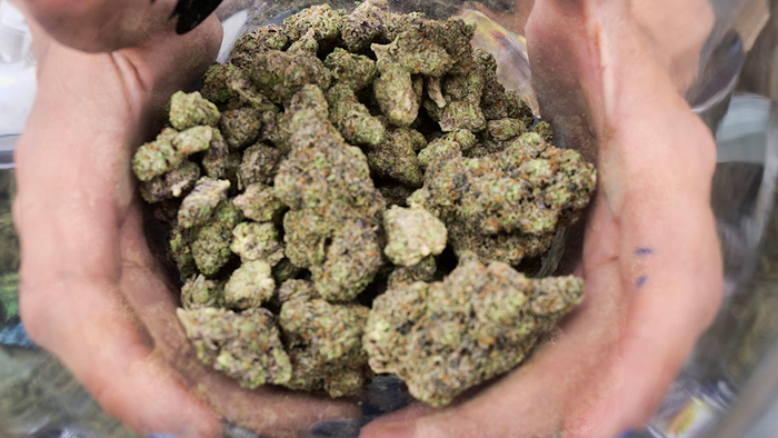 Mnet 210293 Marijuana Holiday Advertising Ap