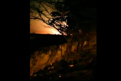 This image taken from a video on Wednesday Jan. 8, 2020 shows a light in the sky which appears to show the Ukrainian jetliner plane on fire and crashing into ground. Western leaders have said the plane appeared to have been unintentionally hit by a surface-to-air missile near Tehran, just hours after Iran launched a series of ballistic missiles at two US bases in Iraq to avenge the killing of its top general in an American airstrike last week. Iran on Friday Jan. 10, 2020, denied the allegations.