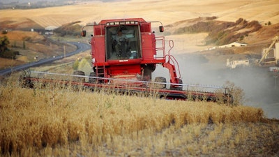 Wheat Agriculture Farming Ap
