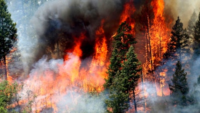 In this June 11, 2018, file photo, flames consume trees during a burnout operation that was performed south of County Road 202 near Durango, Colo. A report by the U.S. Geological Survey shows investments made to reduce the risk of wildfire in forested areas are paying dividends when it comes to creating jobs and infusing money in local economies. The study focused on several counties along the New Mexico-Colorado border that make up the watershed of the Rio Grande.