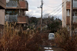 In this Dec. 3, 2019, file photo, weeds grow in an abandoned apartment complex, in Futaba, Fukushima prefecture, Japan.
