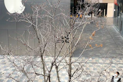 A woman wearing mask walks past the Apple store in an empty mall district in Beijing, China on Wednesday, Feb. 26, 2020. The tech giant Apple has reopened some of its stores in China but says the viral outbreak is starting to disrupt its supplies.