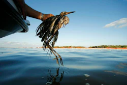 Trump Bird Deaths Ap