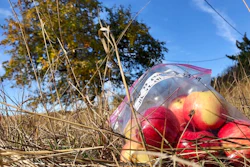 In this Oct. 23, 2019, photo, apples collected by amateur botanists David Benscoter and EJ Brandt of the Lost Apple Project, rest on the ground in an orchard at an abandoned homestead near Genesee, Idaho. Benscoter and Brandt recently learned that their work in the fall of 2019 has led to the rediscovery of 10 apple varieties in the Pacific Northwest that were planted by long-ago pioneers and had been thought extinct.