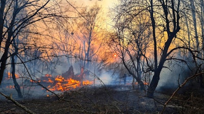 A view of a forest fire burning near the village of Volodymyrivka in the exclusion zone around the Chernobyl nuclear power plant, Ukraine, Sunday, April 5, 2020.
