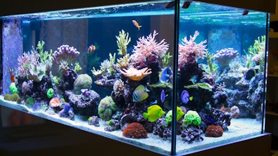 Hackers got into a casino's fish tank sensors to breach the casino’s network.