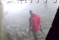 This image taken from a May 19, 2020 video provided by Direct Action Everywhere, shows workers in Grundy County, Iowa, walking among carcasses and using bolt guns to kill pigs that remain alive after they had been exposed to heat in an effort to euthanize the animals.