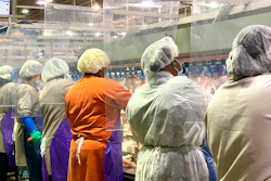 Tyson Foods workers wear protective masks and stand between plastic dividers at the company's Camilla, Georgia poultry processing plant.