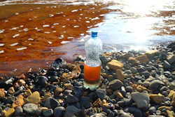 This handout photo provided by Vasiliy Ryabinin is thought to show oil spill.