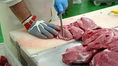 Beef Processing 5db089ee4b6ca