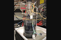 A two-liter bioreactor containing an E. coli culture that has undergone metabolic rewiring to produce indigoidine.