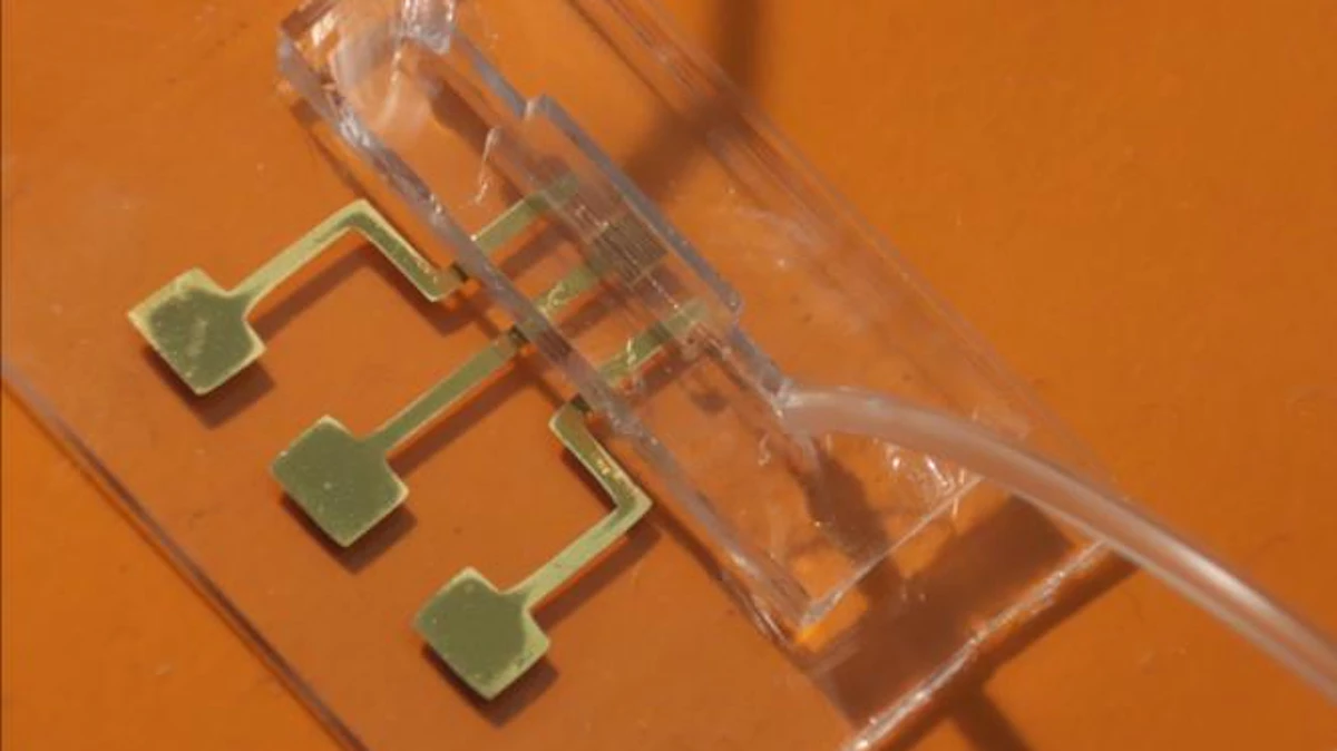 3D-Printed COVID-19 Test Works in Seconds - Vimarsana News