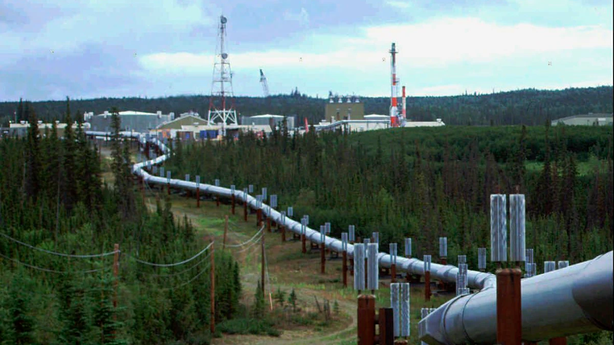 Watchdog: Fossil Fuel Firms Need to Curb Gas Leaks - Vimarsana News