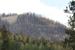 Damage from the Las Conchas fire on a hillside in the Jemez Mountains near Bandelier National Monument, N.M., July 18, 2011.
