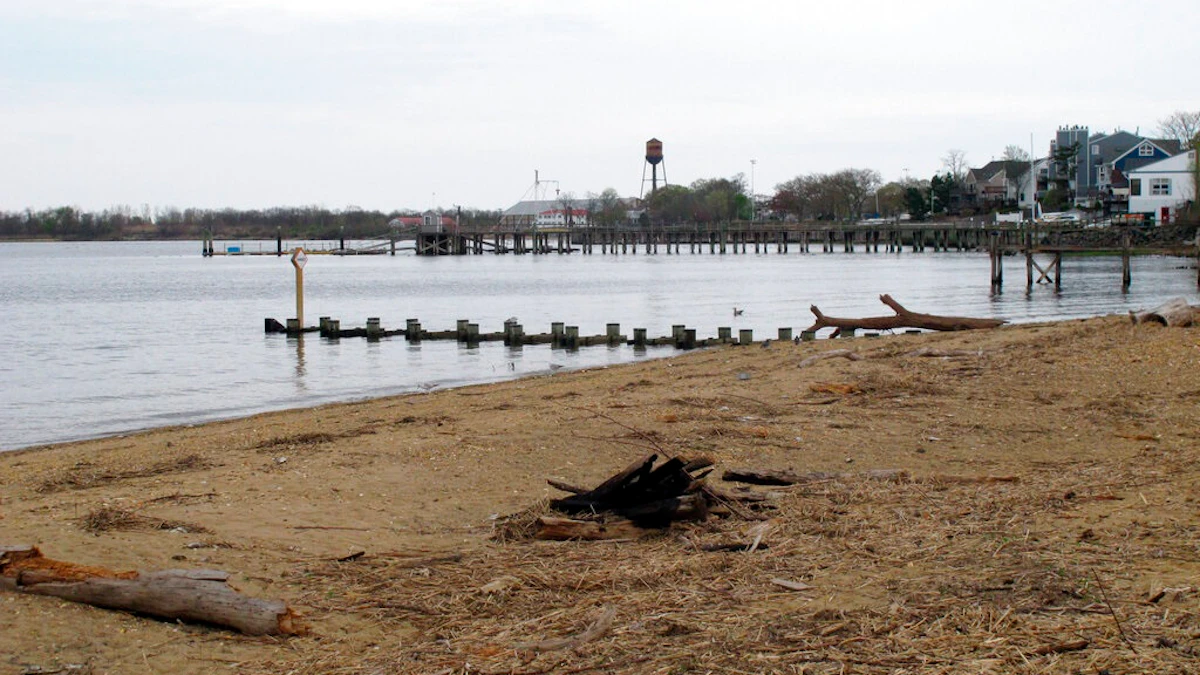 Firm Plans Line to Bring Future Wind Energy Ashore - Vimarsana News