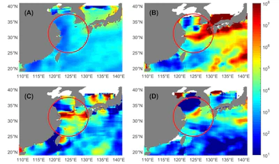 These images show microplastic concentrations (number of particles per square kilometer) at the mouths of the Yangtze and Qiantang rivers where they empty in to the East China Sea. (A) Average density year-round; (B) short-lived burst of particles from the Qiantang River; (C and D) short-lived bursts from the Yangtze River.