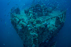 The bow of the wrecked steamship Vis with shoal of fish. The wreck lies in the Croatian Adriatic sea. The ship was sunk after hitting a mine just after the end of WW2.