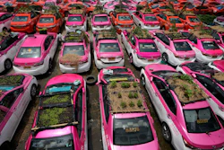 Miniature gardens are planted on the rooftops of unused taxis parked in Bangkok, Thailand, Thursday, Sept. 16, 2021.
