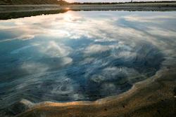 Oil floats on the water surface after an oil spill in Huntington Beach, Calif., on Monday, Oct. 4, 2021. A major oil spill off the coast of Southern California fouled popular beaches and killed wildlife while crews scrambled Sunday, to contain the crude before it spread further into protected wetlands.