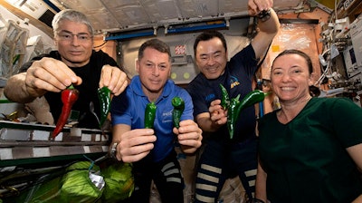 This photo provided by NASA, Astronauts, from left, Mark Vande Hei, Shane Kimbrough, Akihiko Hoshide and Megan McArthur, pose with chile peppers grown aboard the International Space Station on Friday, Nov. 5, 2021.
