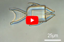 Fish-shaped microrobots are guided with magnets to cancer cells, where they open their mouths to release their chemotherapy cargo.