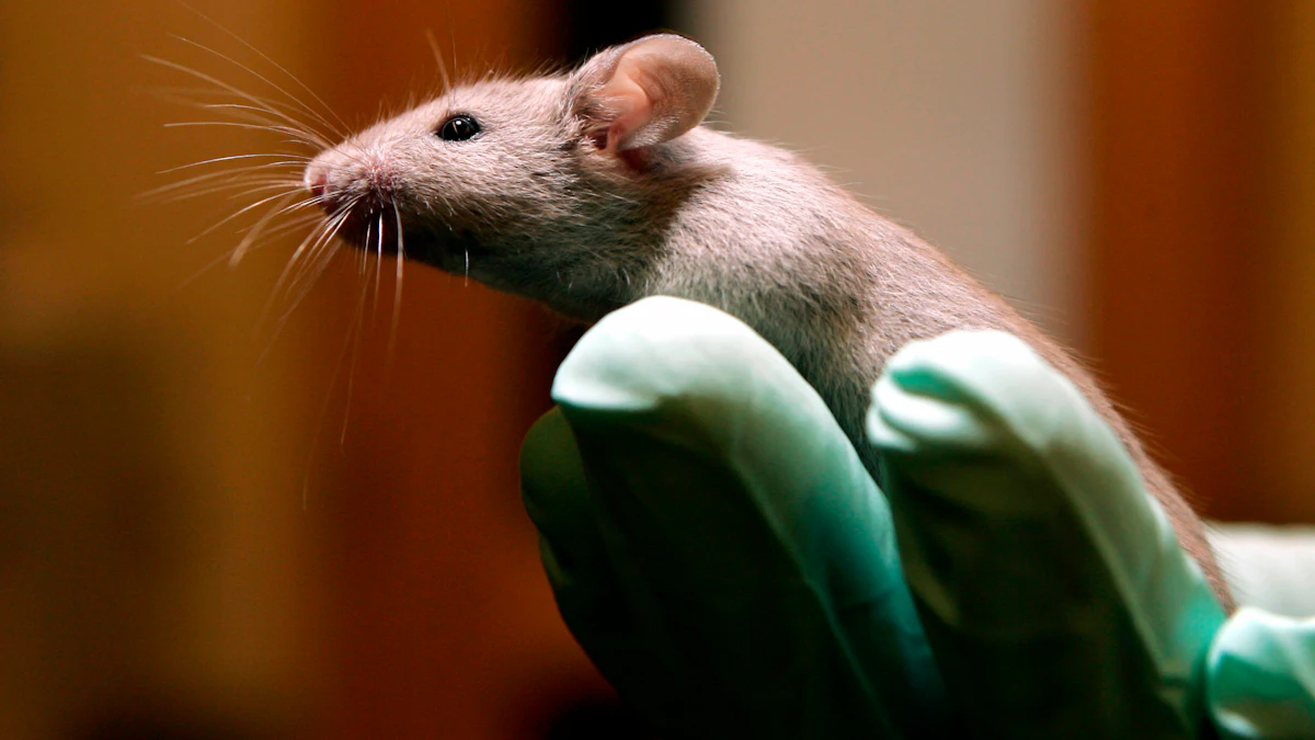 Study Can't Confirm Lab Results for Many Cancer Experiments - Vimarsana News