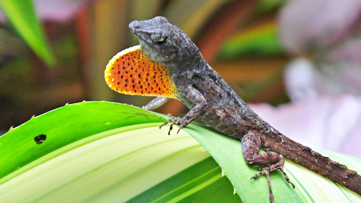 Humble Lizards Offer Surprising Approach to Engineering Artificial Lungs - Vimarsana News