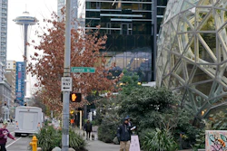 The Amazon Spheres on the company's corporate campus are shown near the Space Needle in downtown Seattle, Tuesday, Dec. 7, 2021. Amazon Web Services suffered a major outage Tuesday, the company said, disrupting access to many popular sites.
