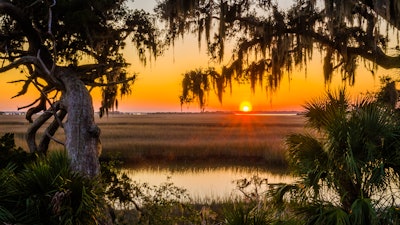 Cumberland Island, Ga.