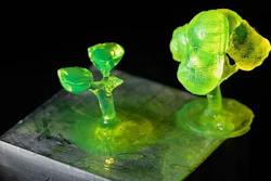 One of the end-products the UD researchers and colleagues are investigating is the creation of bio-resins for 3D printing.