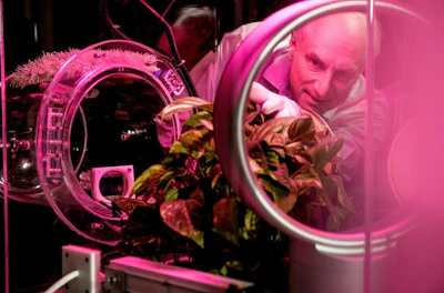 Klaus Lackner tests direct air capture technologies in his lab.