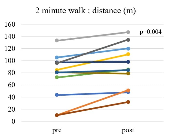 On the 2-minute walk test, an increased walking distance was observed in 10 out of 11 patients. The mean walking distance also improved after HAL-based training.