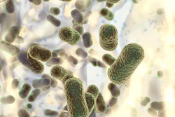 The researchers initially wanted to know more about the conversion processes occurring in the microorganism.