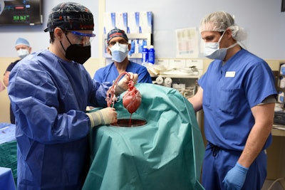 In this photo provided by the University of Maryland School of Medicine, members of the surgical team show the pig heart for transplant into patient David Bennett in Baltimore on Friday, Jan. 7, 2022. Researchers trying to learn what killed Bennett, the first person to receive a heart transplant from a pig, have discovered signs of an animal virus in the organ but cannot yet say if it played any role in the man’s death.