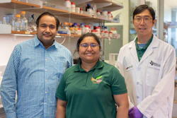 From left: Dr. Sriram Muthukumar, co-founder of EnLiSense LLC; Dr. Shalini Prasad, head of bioengineering and the Cecil H. and Ida Green Professor in Systems Biology Science; and bioengineering research scientist Dr. Kai-Chun Lin are part of the team working on the sweat sensor.