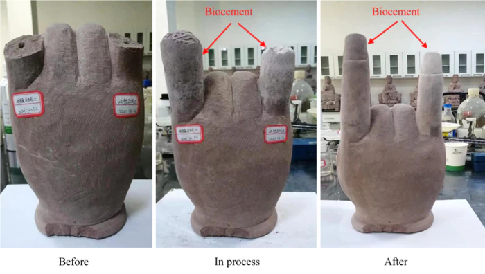 Renewable Biocement Made Entirely Out of Waste Material - Vimarsana News