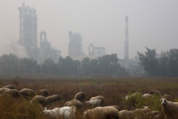 Sheep graze on a grass land near a cement plant on the outskirts of Beijing, China, Oct. 17, 2015. New global data released in May 2022, shows that emissions of heat-trapping gases coming from making cement have doubled in the last 20 years. It's all being driven by China, which is responsible for more than half of the globe's cement carbon emissions.