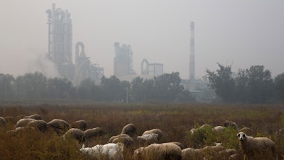 Sheep graze on a grass land near a cement plant on the outskirts of Beijing, China, Oct. 17, 2015. New global data released in May 2022, shows that emissions of heat-trapping gases coming from making cement have doubled in the last 20 years. It's all being driven by China, which is responsible for more than half of the globe's cement carbon emissions.