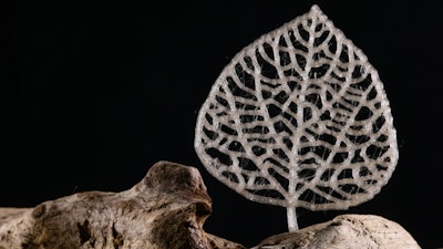 A 3D-printed “leaf” made with a new bioplastic.