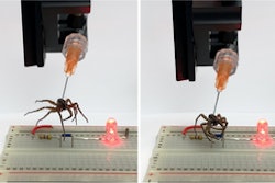 Rice University mechanical engineers have found a way to convert the bodies of deceased spiders into necrobotic grippers. Here, a gripper is used to lift a jumper and break a circuit on an electronic breadboard, turning off an LED.