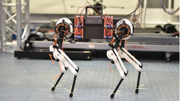 Robot Dog Learns to Walk in One Hour - Vimarsana News